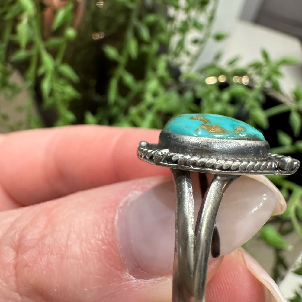 Western Ring - Picture 3 of 5